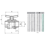      Coraplax TYPE PE .16 (DN10)